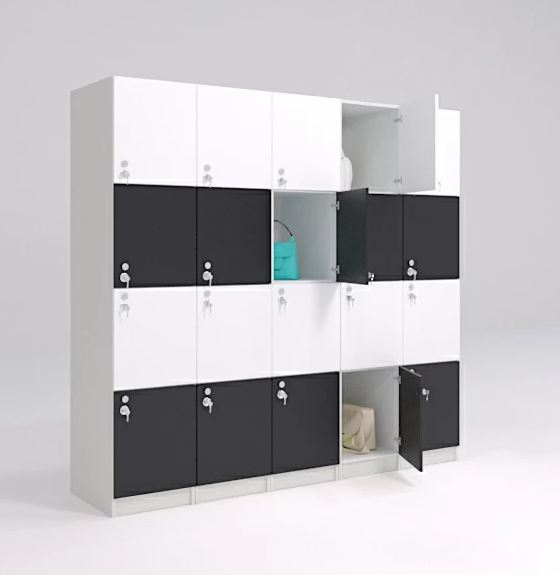 Dulap depozitare D31